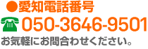050-3646-9501