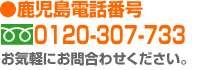 0120-307-733